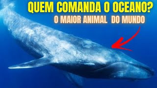 MAIOR BALEIA DO MUNDO, O MAIOR ANIMAL DO MUNDO