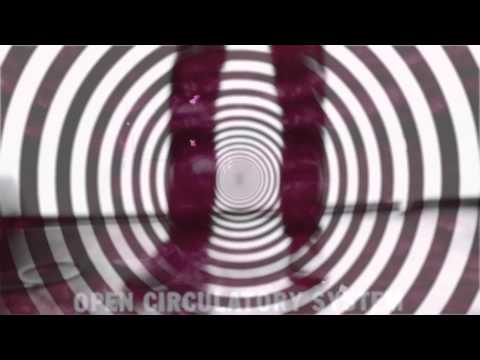 Video thumbnail for Somebody Call a Doctor