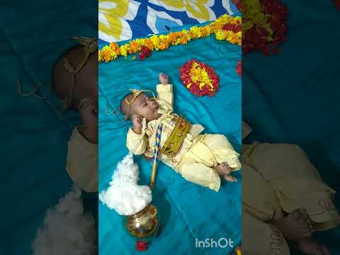 Buvik September 6th 2023 #krishnajanmashtami #trending #shorts