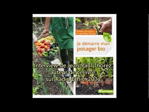 comment demarrer un jardin potager