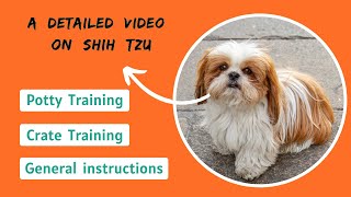 How to Train a Shih Tzu - (Potty Training & Crate Training)