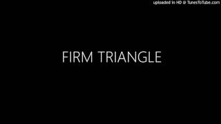 FIRM TRIANGLE - THE FIRM &amp; THE TRIANGLE