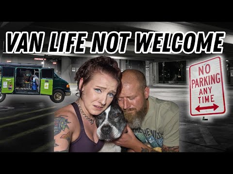 How Van Life is Changing: The Rise of Homesteads and Communal Living