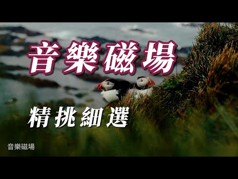 （音樂𥔵場）精挑細選。 😗😗😗😗😗VOL1