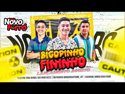 Banda Novo Forró - Bigodinho Fininho (Lamba-Zouk Lançamento Atualizado Agosto 2024)
