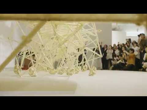 “Unfolding the universe of Theo Jansen" Short Trailer