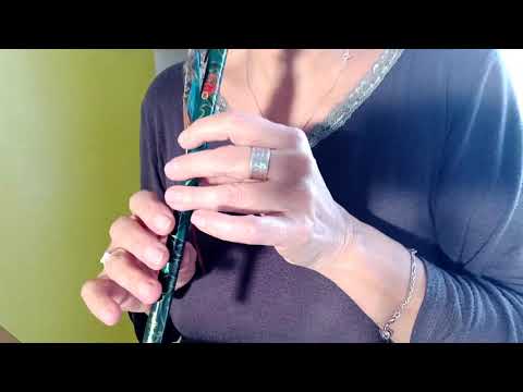 Planxty Burke tin whistle high D have Fun ❤