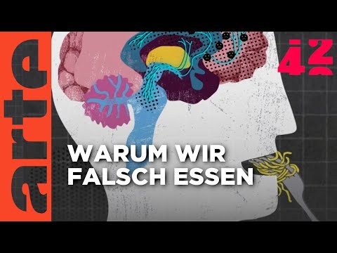 Warum essen wir, was wir essen?  | 42 - Die Antwort auf fast alles Reupload | ARTE