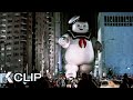 The Stay Puft Marshmallow Man GHOSTBUSTERS