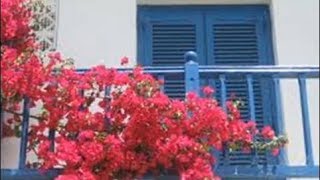 Keiko Matsui - Bouncing Bougainvillea  *k~kat jazz café*  The Smoothjazz Loft