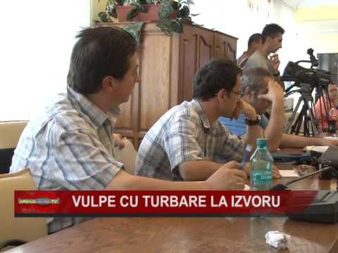 05 VULPE CU TURBARE LA IZVORU