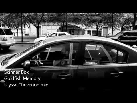 Skinner Box  - Goldfish Memory (Ulysse Thevenon Dark Mix)