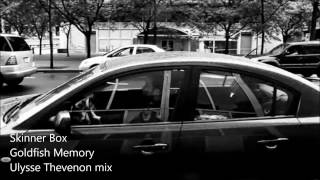 Skinner Box  - Goldfish Memory (Ulysse Thevenon Dark Mix)