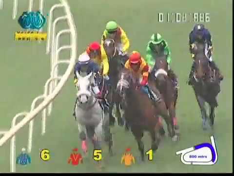 download lagu mp3 mp4 Mumbai Horse Race Live Result, download lagu Mumbai Horse Race Live Result gratis, unduh video klip Mumbai Horse Race Live Result