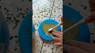 peepal leaves skeleton #artandcraft #meetadas #shorts #wallhanging