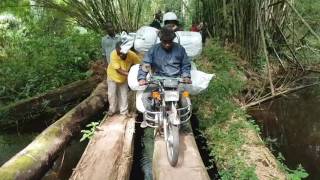 End of the most recent Ebola outbreak in the Democratic Republic of Congo