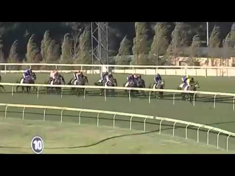 2014 South Africa Derby   Louis The King