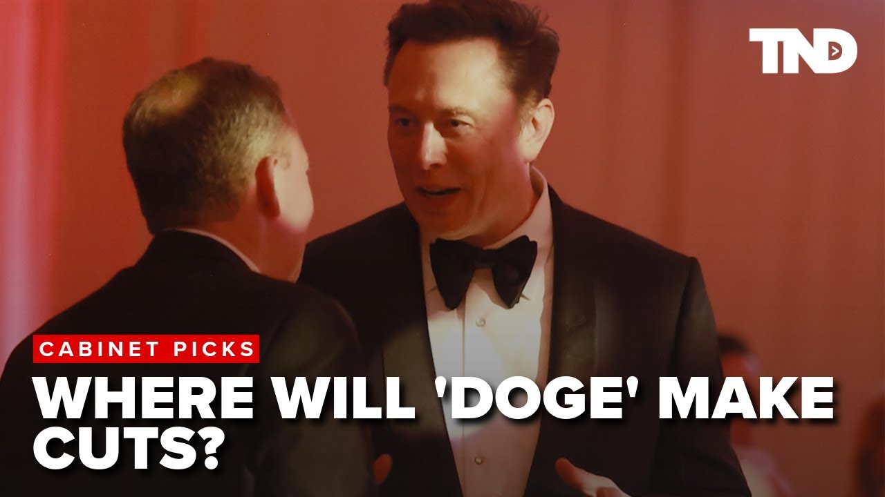 Where will Musk and Ramaswamy's new Department of Government Efficiency make cuts?