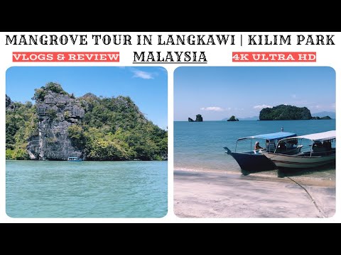 Langkawi's Mangrove Tour Malaysia