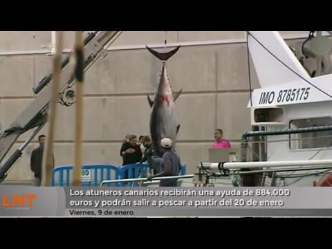 Los atuneros canarios recibirán una ayuda de 884.000 euros 