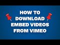 How To Download Embed Videos From Vimeo 2023 No Software