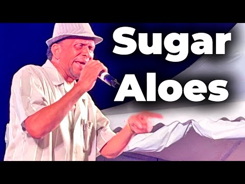 Sweet Music from Sugar Aloes at the Village