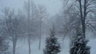 'The Crane' by Trip Shakespeare