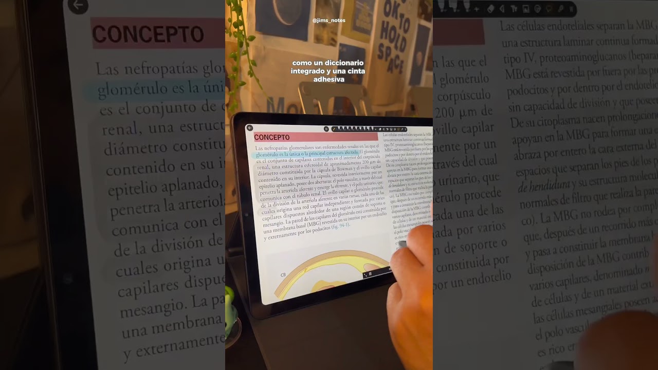 Flexcil : App para tomar apuntes y editar pdf 👨🏻‍💻🧃