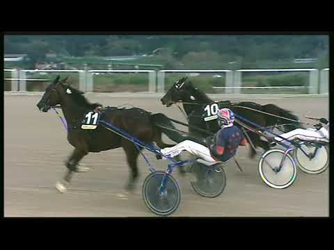 Trotto 13/11/2020 - 8ª corsa II° TRIS