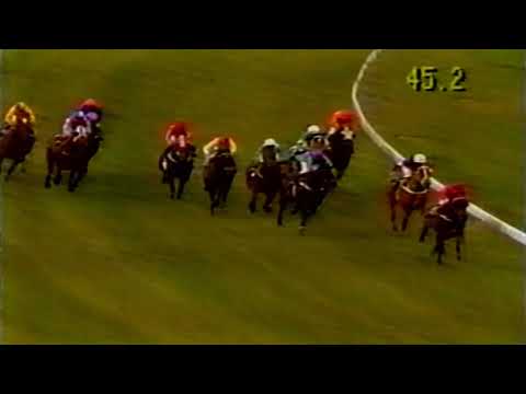 1991 MVRC MOONEE VALLEY  A J MOIR STAKES