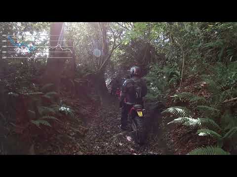 Tiverton green lanes 