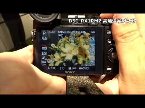 DSC-RX1RM2 高速連写秒5枚
