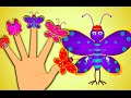 Butterfly Finger Family Finger Family Rhymes For Children JamJammies Kids Songs Rhymes