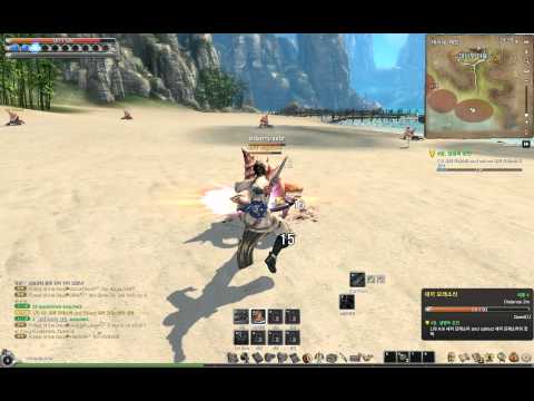 blade & soul pc gameplay