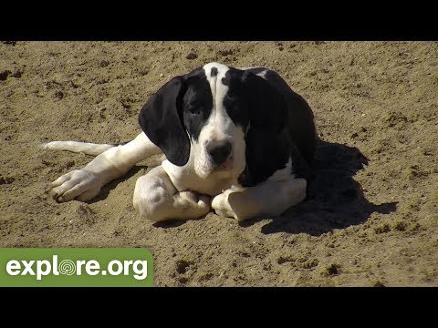 Snapshots of the Week 5.21.18