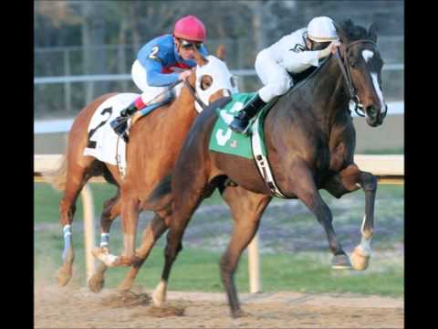 Rachel Alexandra; A Legend