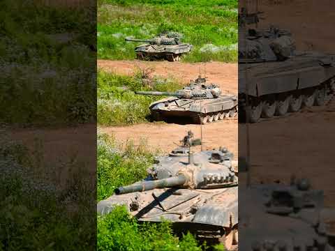 T Tank family #shorts