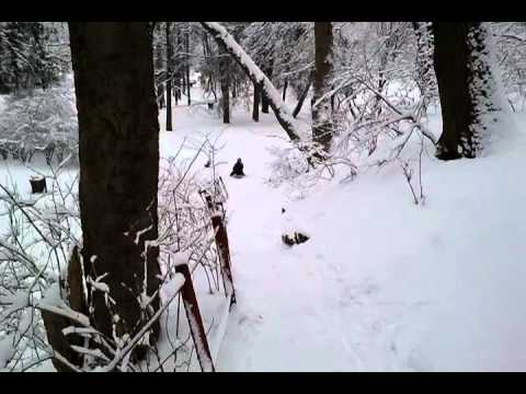 Lillafüredi téli örömök