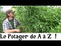 Le Potager A à Z -6- (La Biodiversité)