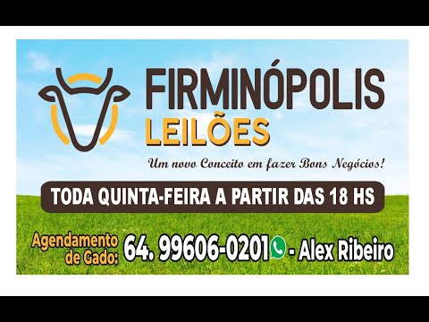 FIRMINOPOLIS LEILÕES 30/04/2026