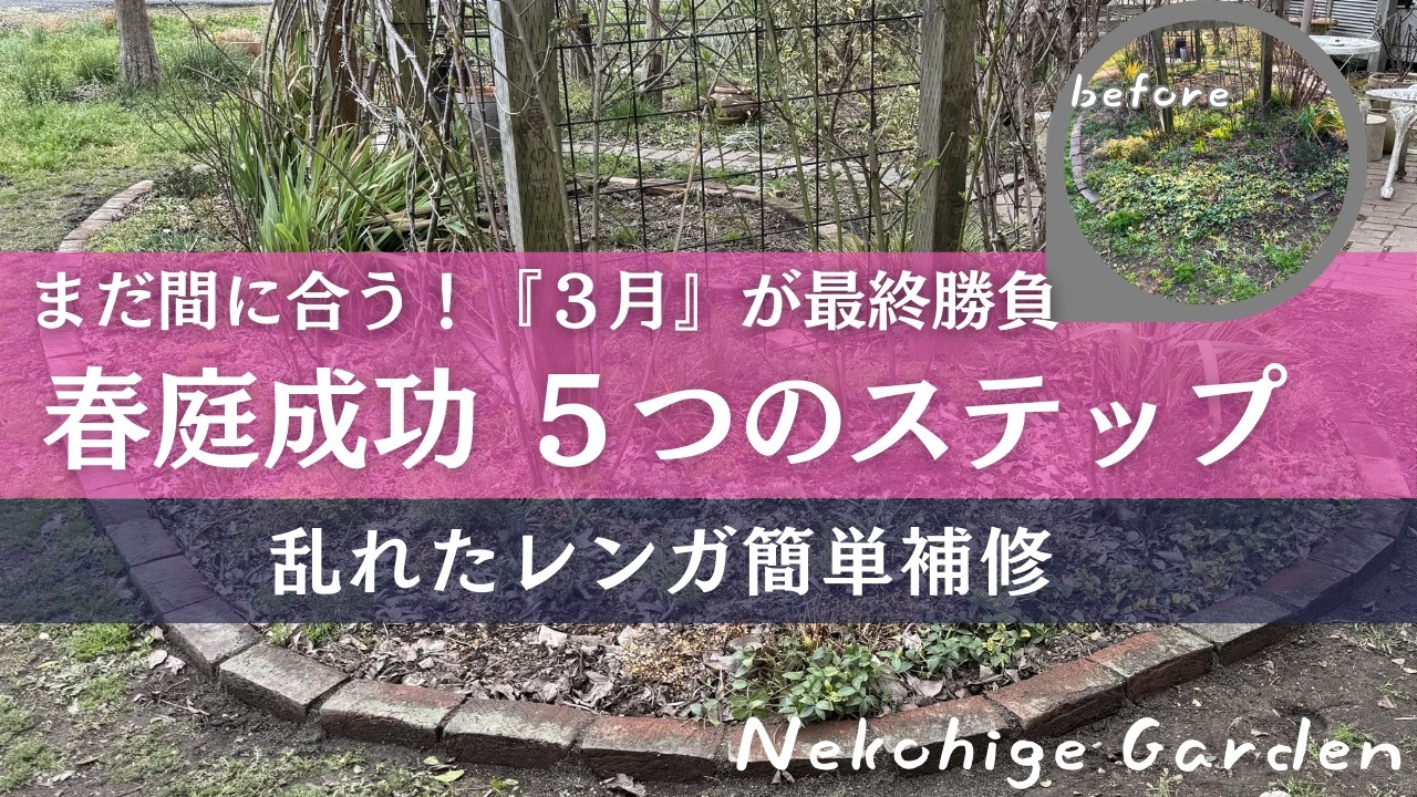 《３月を制する者は春庭を制す！》秋に植え替えできてなくても大丈夫！まだ間に合う春庭づくり／宿根草・低木お手入れ／砂で簡単レンガの補修／不耕起栽培／草マルチ／残渣みかん皮堆肥カルスNCR