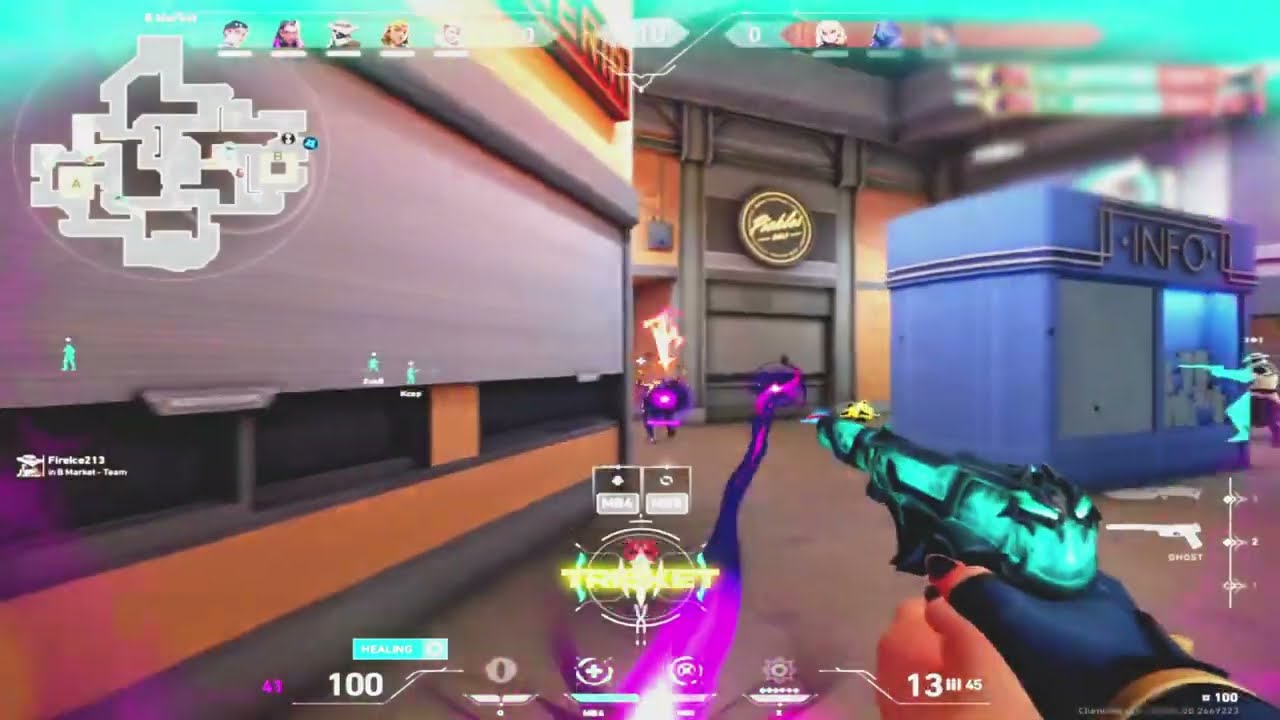 Using the best PRIVATE COLOR AIMBOT on the Market | ft. Trisket