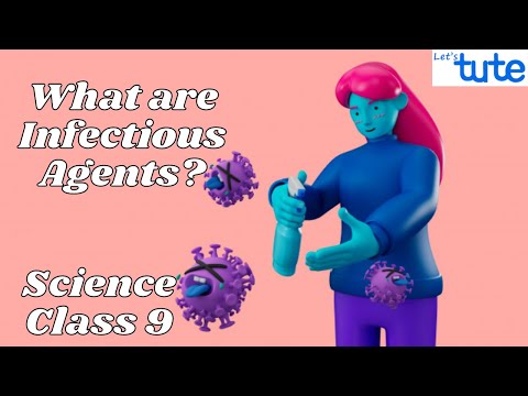 What are Infectious Agents? | Disease caused by Infectious Agents