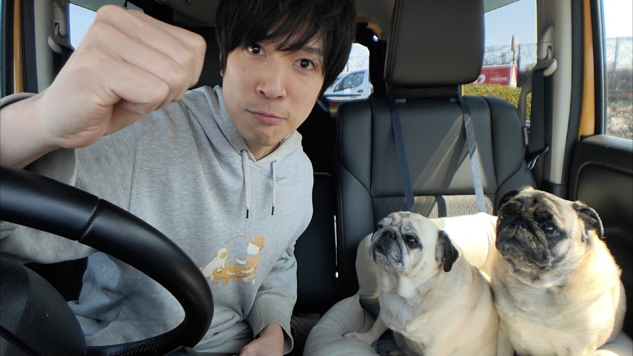 🔴木村拓哉さんがYouTubeで引いてたパグ犬のガチャガチャをGETしに行く生配信！