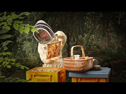 Bi-odlare och narturälskaren Marie Åsen en dokumentär (Honung mot allergi)