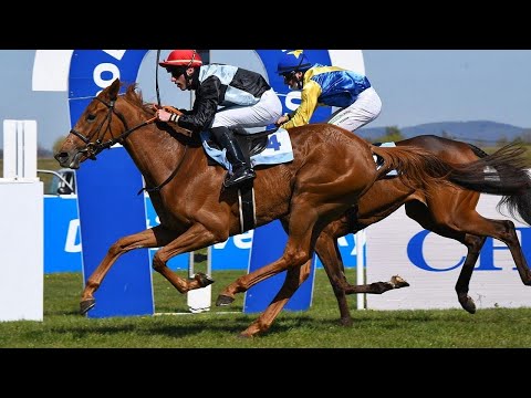 ŽIVĚ 🔴 | dostihy Most – sobota 7. 5. 2022