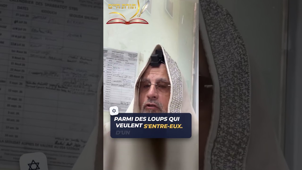 Le loup… et le petit Chaperon rouge #shorts