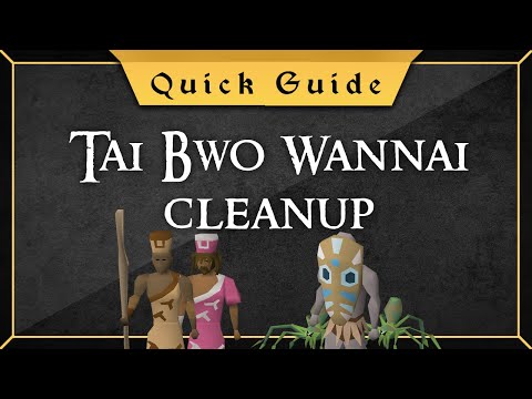 [Quick Guide] Tai Bwo Wannai Cleanup