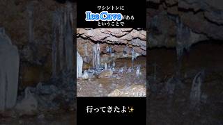 【アメリカ生活】ワシントン州のIce Caveに行ってみたよ。#海外在住ママ #アメリカ生活 #ポートランド #3兄弟ママ