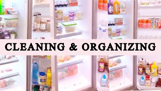 SATISFYING FRIDGE CLEANING AND ORGANIZATION | REFRIGERATOR CLEANING & ORGANIZING | CLEAN WITH ME